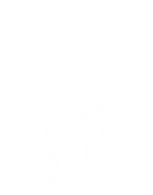 The Cliff Dweller on Lake Superior